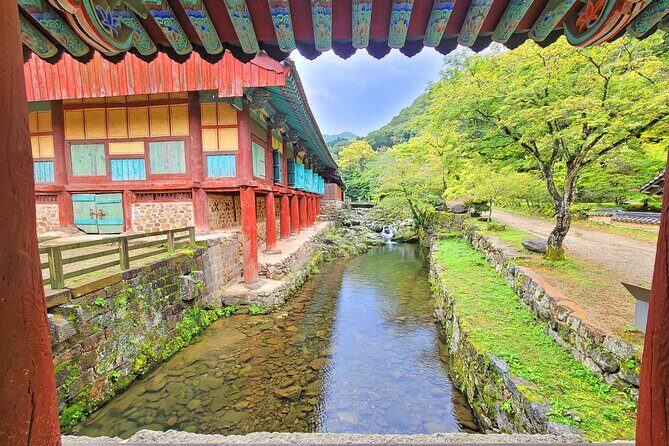 Suncheon one day tour from Seoul, Busan or Suncheon - Who Would Enjoy This Tour?