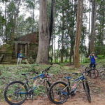 Sunrise Cycling Of Angkor Wat Temple - An In-Depth Look at the Sunrise Cycling Tour