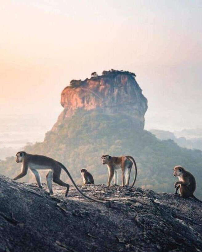 Sunrise or Sunset Tour to Pidurangala Rock with Scenic Views - Who Would Enjoy This Tour?