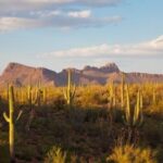 Sunrise Sonoran Desert Balloon Flight - Key Points