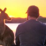 Sunrise with the kangaroos and wallabies - Scenic Bushwalk & Lookout Over the Bay