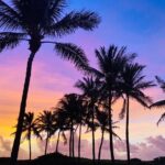 Sunrise Yoga and Meditation by the Ocean in Miami Beach - The Experience in Detail