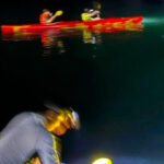 Sunset and Magical Bioluminescence plankton Night Kayak Tour - Value and Practical Tips
