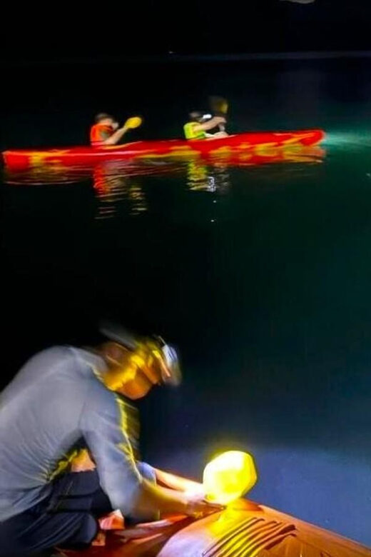Sunset and Magical Bioluminescence plankton Night Kayak Tour - Value and Practical Tips