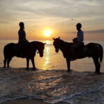 Sunset Beach Horseback Ride Phuket - A Step-by-Step Look at the Experience