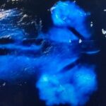 Sunset Bioluminescent Comb Jelly & Dolphin Tour - Pricing and Value