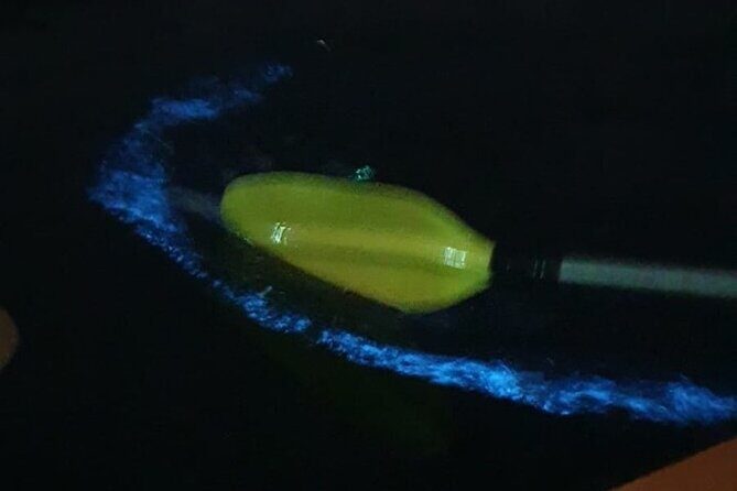 Sunset & Bioluminescent Plankton Kayaking Lan Ha bay - Final Thoughts