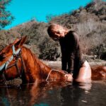 Sunset by horse (river and beach) - What’s Included and What to Bring