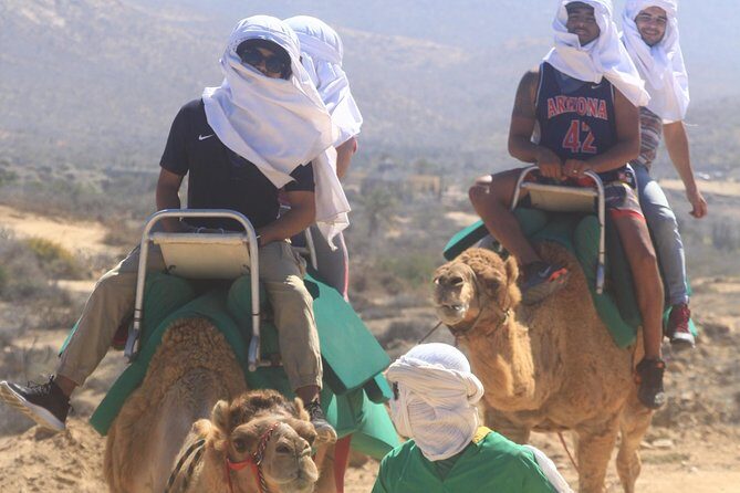 Sunset Camel Ride Tour - Who Should Book This Tour?