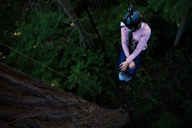 Sunset Canopy Climb on Lopez Island - Why This Tour Offers Great Value