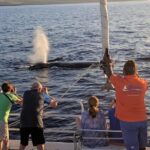 Sunset Cruise with the Whales from Anaeho'omalu Bay - Who Would Love This Tour?