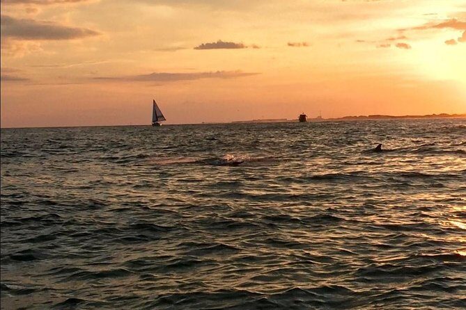 Sunset Dolphin Watching Cruise in Destin Harbor - Frequently Asked Questions