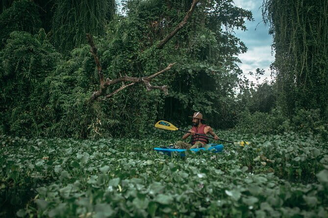 Sunset Kayaking in Hidden Alleppey Backwater Routes - What Our Reviewers Say