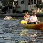 Sunset Kayaking with Dolphins - Who Will Love This Tour?