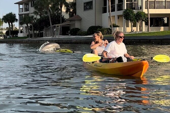 Sunset Kayaking with Dolphins - Who Will Love This Tour?