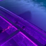 Sunset LED Clear Kayak Rentals for Glacier Park - Who Should Consider This Tour?