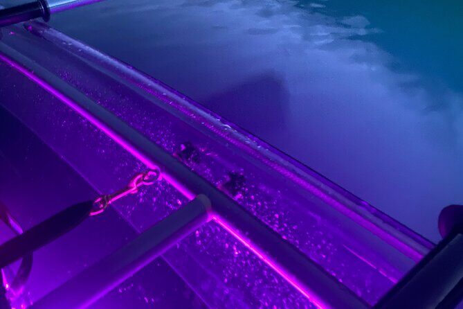 Sunset LED Clear Kayak Rentals for Glacier Park - Who Should Consider This Tour?