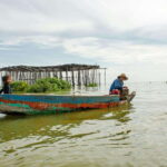 Sunset Over the Tonle Sap Lake and Visit Floating Village - What to Expect from the Tour