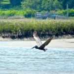 Sunset Sail Tour - A Detailed Look at the Sunset Sail Tour