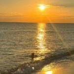 Sunset, Stand Up Paddle and Sip - Authentic Feedback from Participants