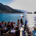 Sunsets and Whales Mega Yachts ALL INCLUSIVE: Puerto Vallarta - Final Thoughts