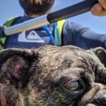 SUP Rental - Who Should Consider This SUP Rental?