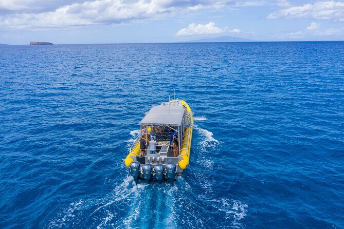 Super Raft - Private Charter Maui 3 Hour Snorkel to Coral Gardens or Molokini - A Closer Look at the 3-Hour Maui Snorkel Adventure