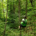 Superman Zipline Tour in Morningside - A Closer Look at the Superman Zipline Tour