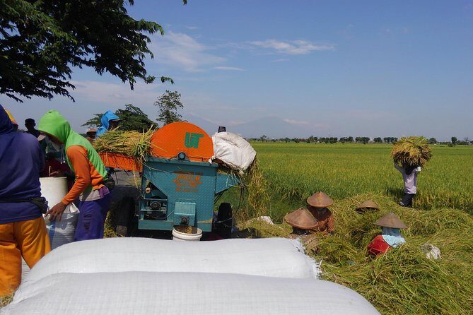 Surakarta Village cycling tour - In-Depth Review of the Surakarta Village Cycling Tour