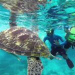 Surin Islands Snorkeling Trip from Phuket - What Sets This Tour Apart?