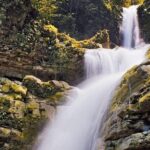 Surrealist Garden of Edward James, Castle of Health and Xilitla Nativity - The Castle of Health: Culture and Herbalism