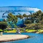 Swan Boat Rental at Rainbow Lagoon in Long Beach - Who Should Consider This Activity