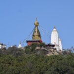 Swayambhu and Kathmandu Durbar Square Half Day Tour - Who Should Book This Tour?