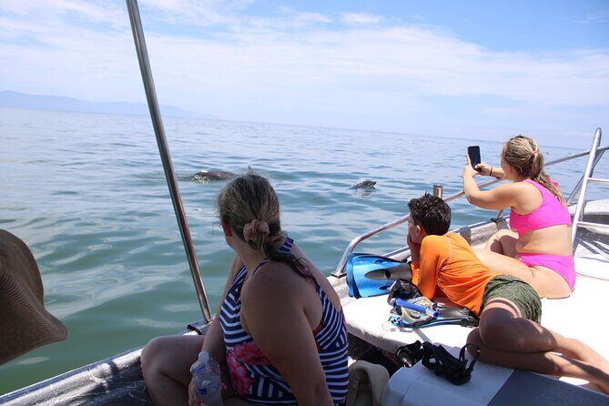 Swim and Paddle Board with Wild Dolphin Pods in Puerto Vallarta - The Value for Money
