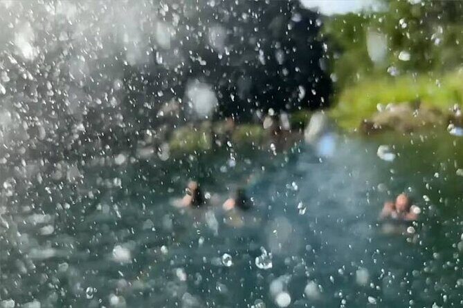 Swim at Oahu Waterfall in Waimea with Coffee, Lunch and Dole - Who Will Love This Tour?