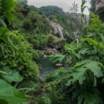 Swim in lush springs and waterfalls in Guadalajara - Authenticity and Local Flavor