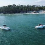 Swim with Dolphins And Snorkeling Group Tour - A Deep Dive into the Experience