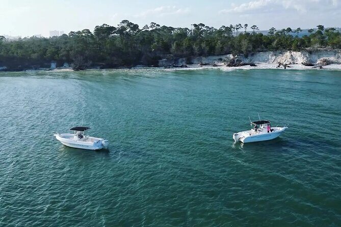 Swim with Dolphins And Snorkeling Group Tour - A Deep Dive into the Experience