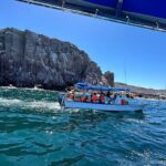Swim with Sea Lions in La Paz - Practical Tips for Participants