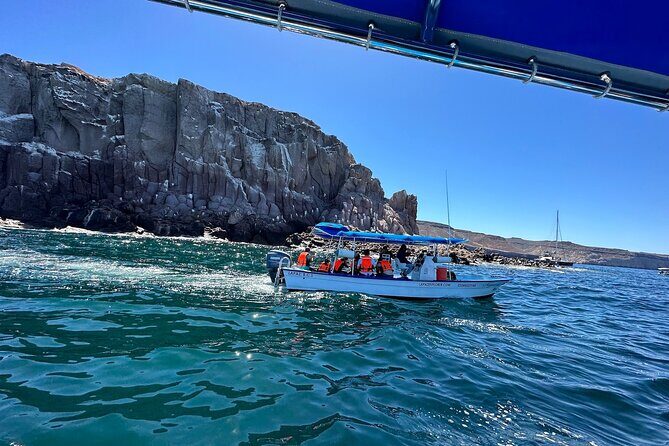 Swim with Sea Lions in La Paz - Practical Tips for Participants