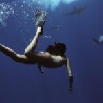 Swim with Sharks Cage-Free from Oahu - The Sum Up