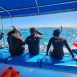 Swim with Whale Sharks in La Paz - Why This Experience Is Worth It
