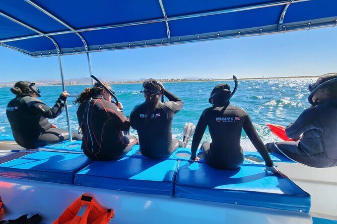 Swim with Whale Sharks in La Paz - Why This Experience Is Worth It