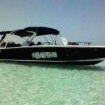 Swim with Whale Sharks Private tour from Playa del Carmen - Post-Snorkel Relaxation and Delicious Food