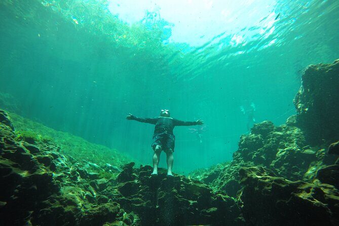 Swimming with turtles, 2 cenotes & gopro - Authenticity and Value