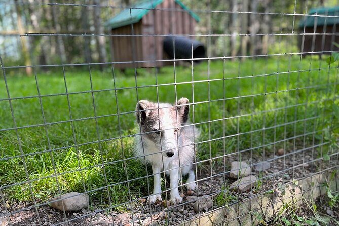 Sydney City Roots and Wildlife Trails of Cape Breton Island - The Experience in Detail