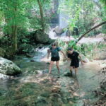Ta Tai Waterfall: Tuk-Tuk Adventure & Mangrove Forest - Value and Suitability