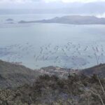 Taal Volcano Experience: Scenic Countryside and Volcano Tour - Who Should Consider This Tour?