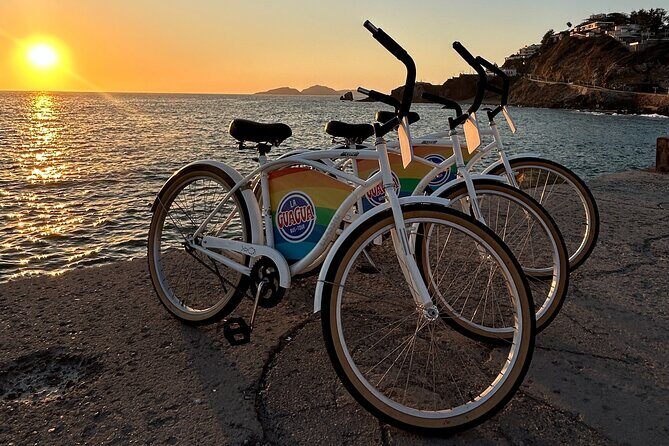 Taco Bike Tour in Mazatlan - Who Is This Tour Best For?