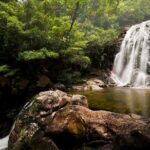 Tai Mo Shan Waterfall Adventure Hike - Who Will Enjoy This Tour?